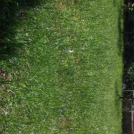 Apartment For Holidays In Pula Bagian luar foto